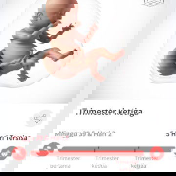 Belum ada gelombang cinta