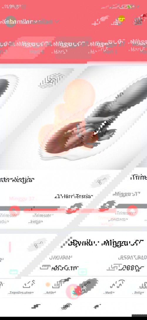 keputihan saat 37week