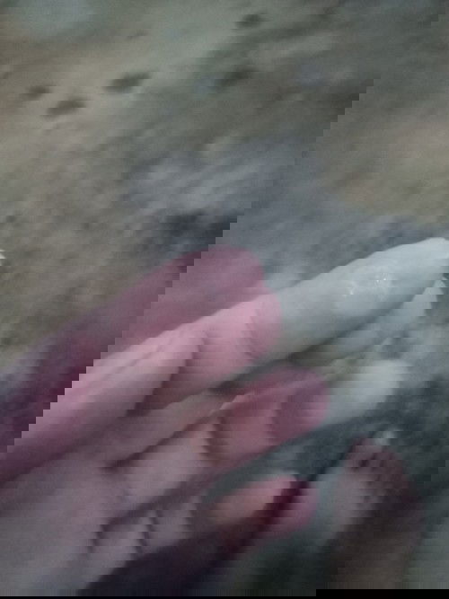 ตกขาวรึมูกคะ#ท้องแรกคะ36+5วีค