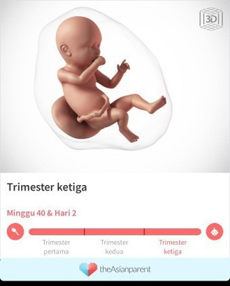 Gak sabar menanti kehadirannya si dedek