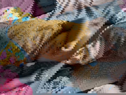 BABY REWEL KETIKA NENEN