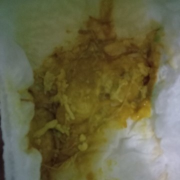 Pup bayi empat bulan