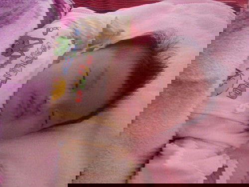 dành cho mẹ và bé