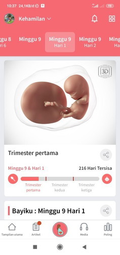 Tentang kehamilan
