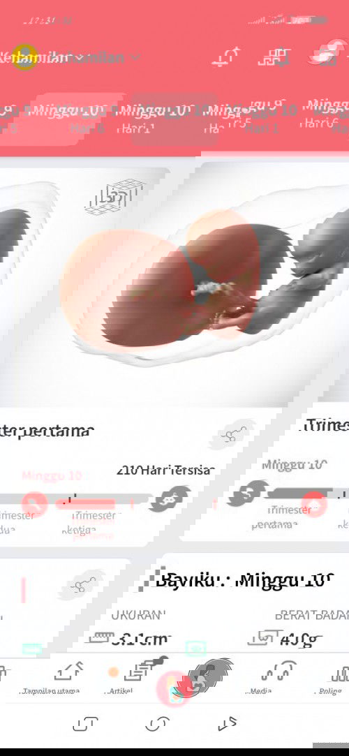 Usia kehamilan 10minggu