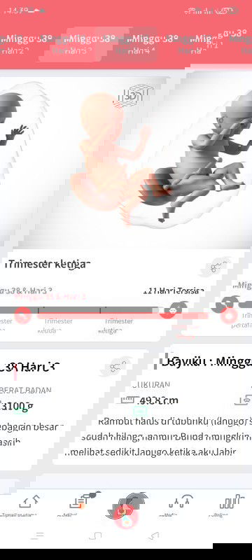 Menunggu gelombang cinta