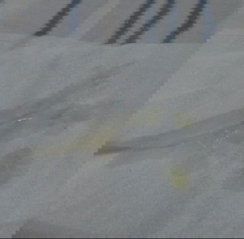 Tanda mau melahirkan