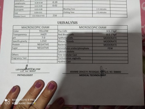 Hello po. Sino po marunong bumasa ng urine test. May uti po ba ako? 22 weeks of pregnant here.👋