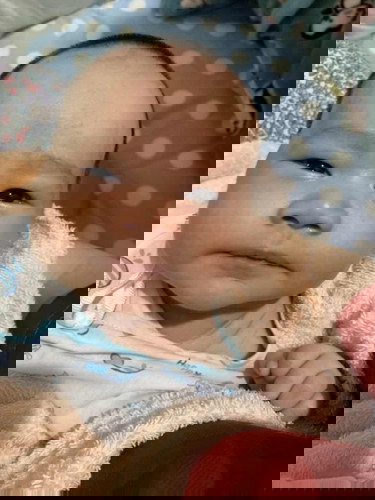 ไอ้หมูเอ้ยยยหม่ามี๊ขอแกล้งนะ