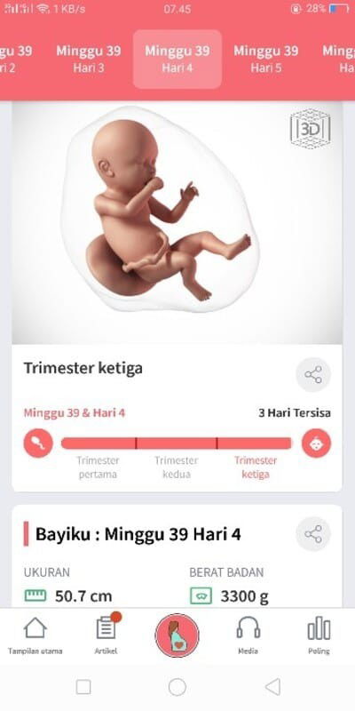 Menunggu datangnya dedek