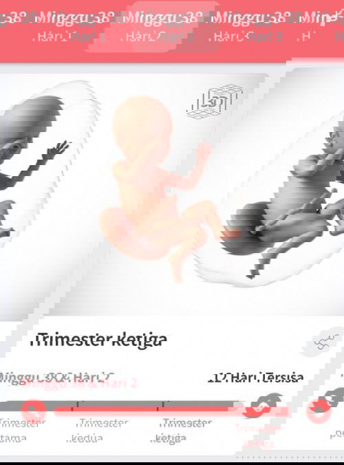 Menunggu gelombang cinta