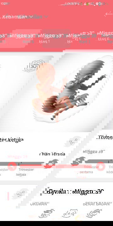 Hpl maret kumpul sini..