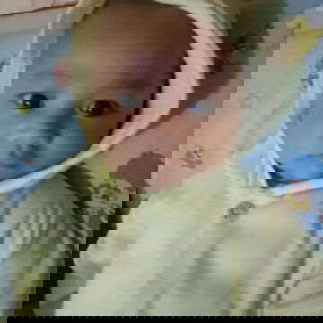 42harii baby mahessa