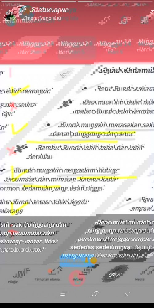 Usia kandungan 3 ke 4 bulan