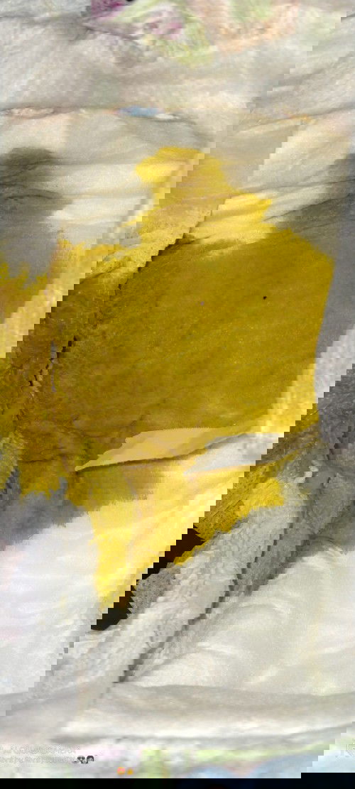 Normal lang po ba ang poop ni baby sa 4month old ..