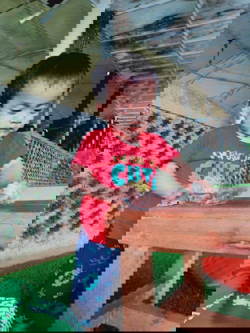 Mohon sharing nya ya bun