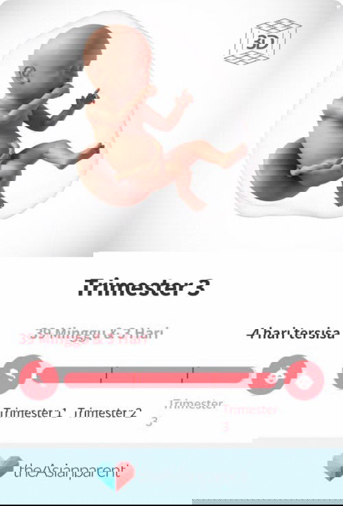 Nunggu gelombang cinta