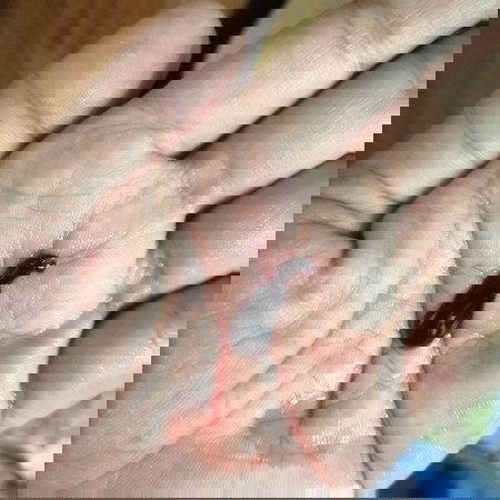 ขอคำแนะนำค่ะ