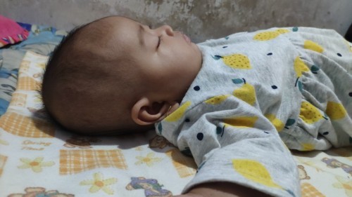 Seperti apa kepala peyang