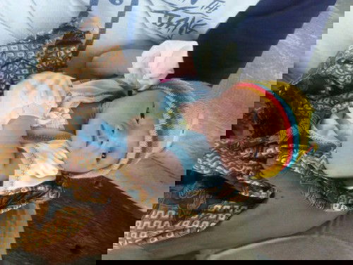 alhamdulillah Launching