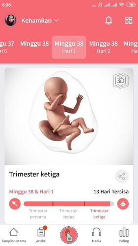 Kehamilan trimester ketiga