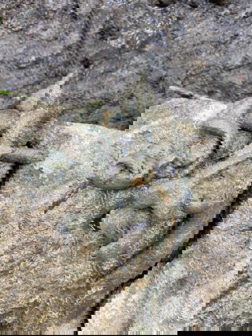 น้องถ่ายแบบนี้