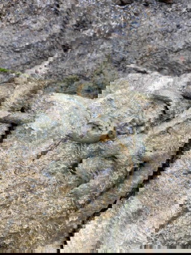 น้องถ่ายแบบนี้