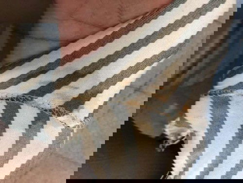 แบบนี้ใช่น้ำคล่ำมั้ยคะ