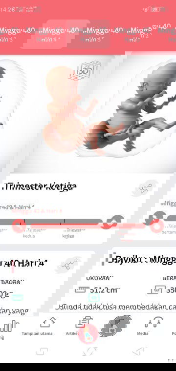 Semoga si dd segera kasih kode gelombang cinta aslinya iya🤗❤