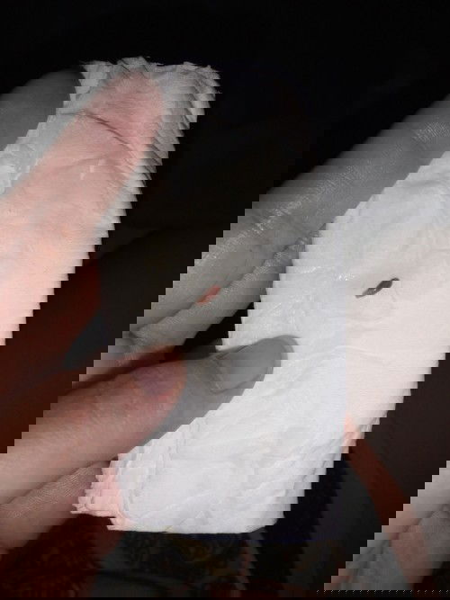 Kehamilan UK 28 minggu