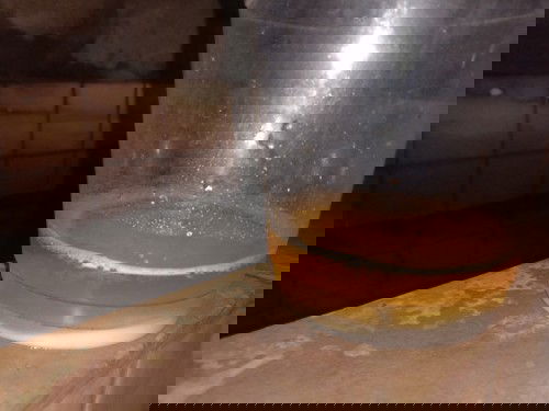 เบคกิ้งโซดาบอกเพศจิงหรือ?