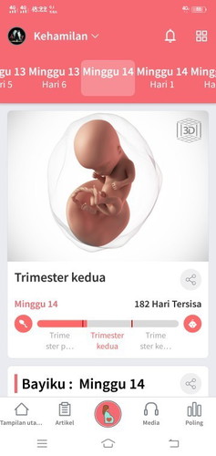 Bund. Saya sudah mau memasuki trismester k 2 tapi perutnya kok belum kelihatan ya ?