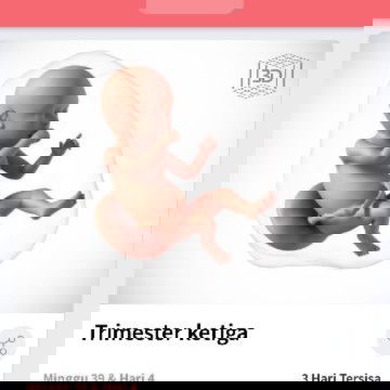 Mohon doa agar segera launcing