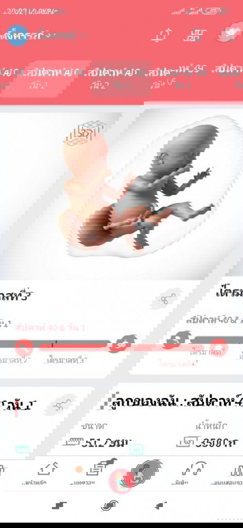 40สัปดาห์1วัน