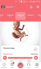kehamilan 38wekk 6day