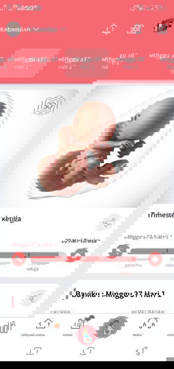 Belum masuk panggul juga