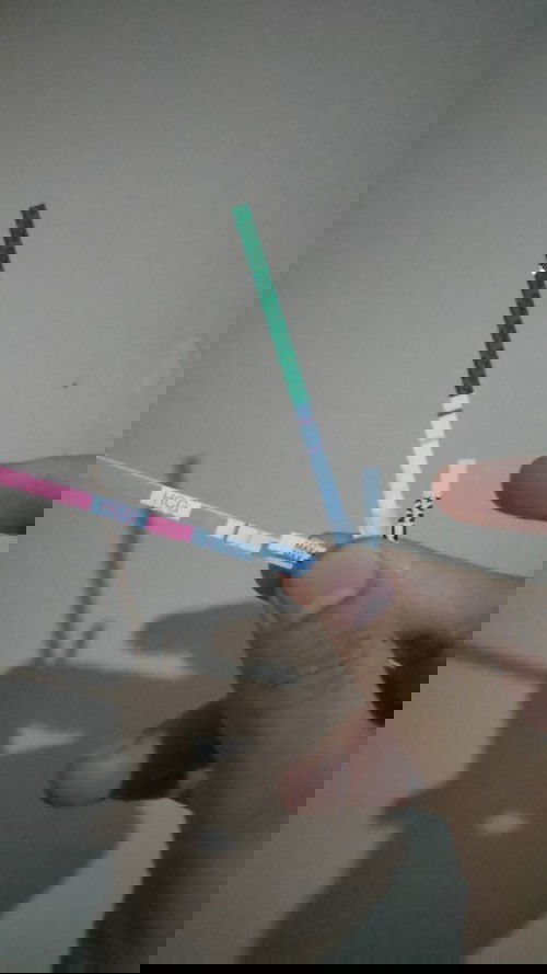 2minggu yg lalu garis 2 tapi skrng haid