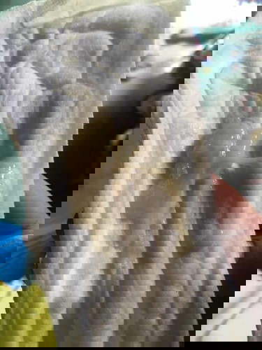 รบกวนแม่ๆหน่อยจ้า