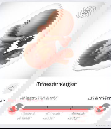Kegiatan selama cuti