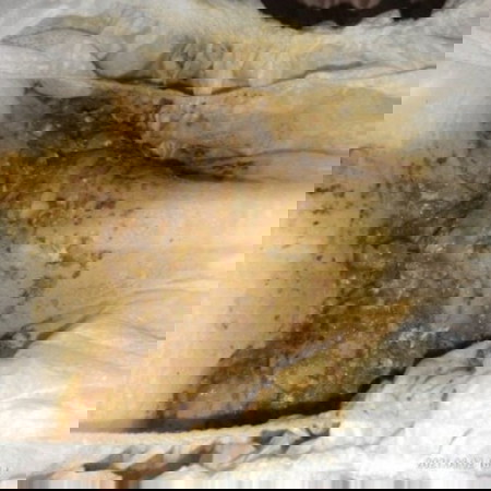 Nagngingitin or not?