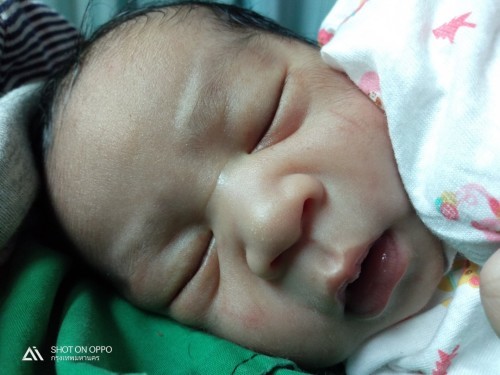น้องราเชท์