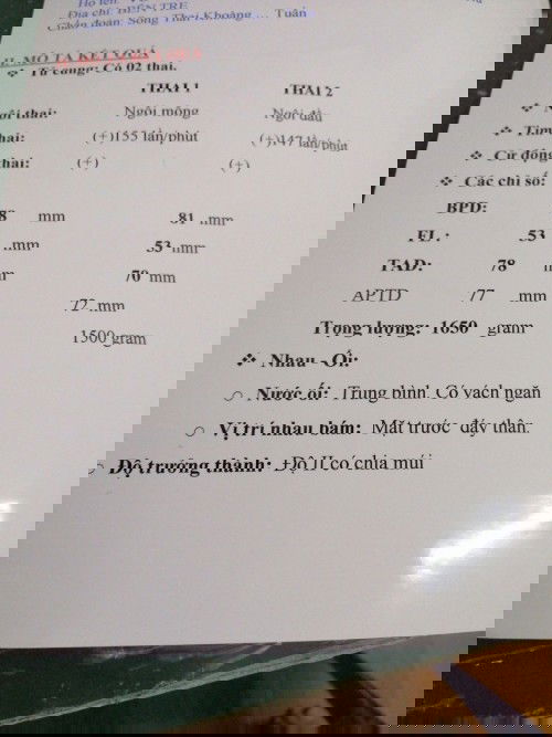Hạnh phúc và lo lắng