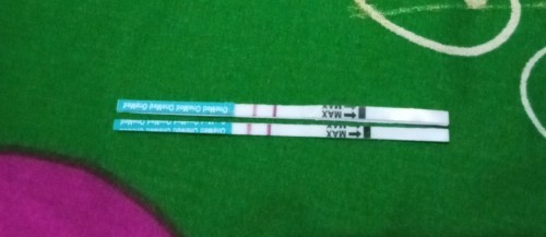 Di tespek tgl 14 febuari.ituh cara hitungan kehamilan gimananya. Mw tw biar paham