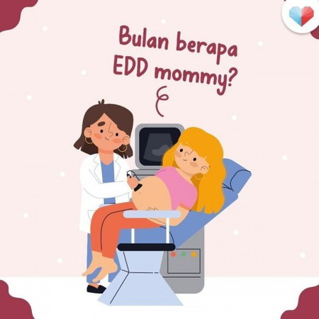 Bulan berapa EDD mommy?