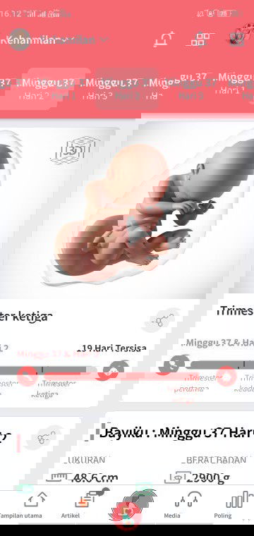 Minggu ke 37 sering ngerasain sakit perut tapi jarang gitu itu kenapa ya bun?