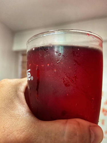 Kombucha time