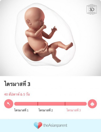 ประสบการณ์เร่งคลอด