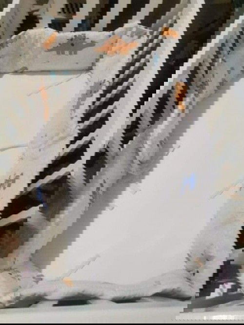 For Sale! Wooden Crib 24x40