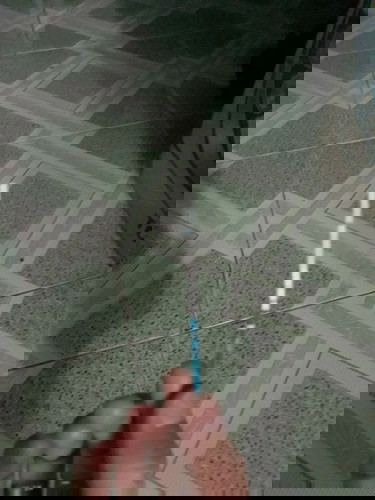 TAP xông pha- Thử thách 2: ngày biết em ấy xuất hiện.