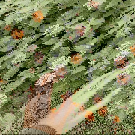 Loveletter to moms ๐ท